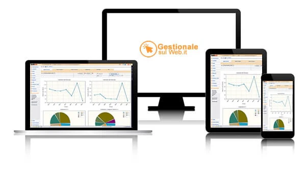 screenshot of Gestionale sul Web